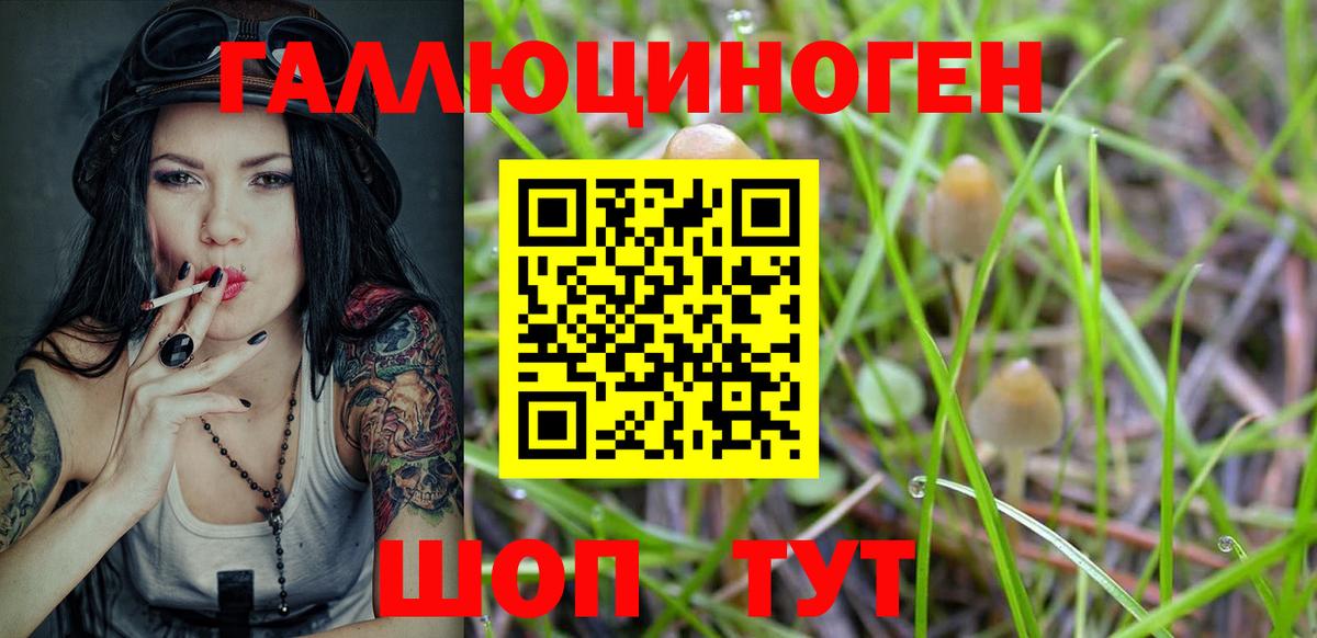 Псилоцибиновые грибы прущие грибы  Псилоцибиновые грибы Magic Shrooms  Вход с VPN  Воткинск 